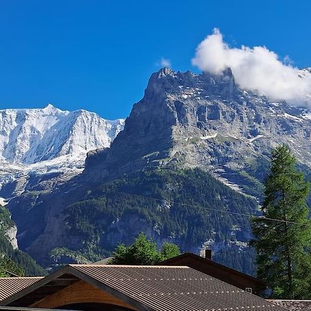 Chalet Engi Apt 1 For Up To 8 People 格林德瓦 外观 照片