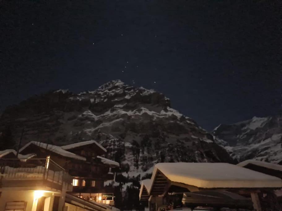 Chalet Engi Apt 1 For Up To 8 People 格林德瓦 外观 照片
