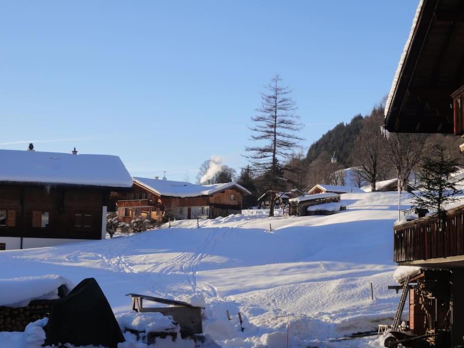 Chalet Engi Apt 1 For Up To 8 People 格林德瓦 外观 照片